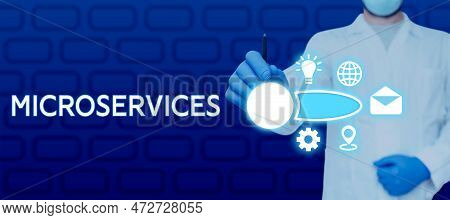Conceptual Display Microservices. Conceptual Photo Software Development Technique Building Single Fu