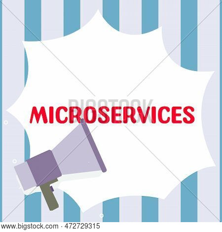 Text Caption Presenting Microservices. Word For Software Development Technique Building Single Funct