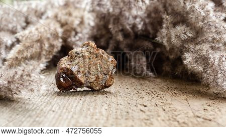 Raw Andradite Garnet Crystal Sample On Wood With Copy Space.
