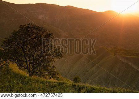 Zen Serenity Mountain Landscape -  Silhouette Alone Tree On Green Grass Slope, High Mountain Ridges 