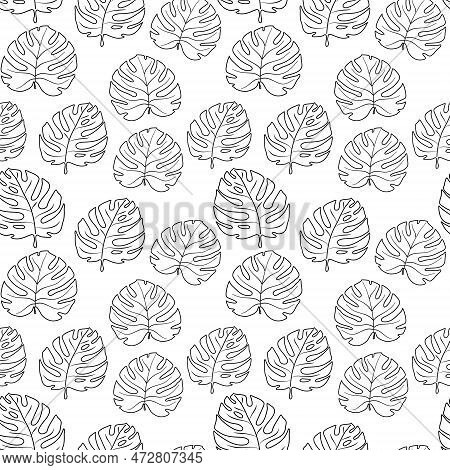 Seamless Pattern Black Lines Manstera Leaves On White Background. Vector Illustration
