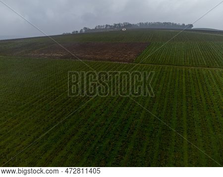 Winter View On Val De Livre En Gran Cru Vineyards Of Famous Champagne Houses In Montagne De Reims, C