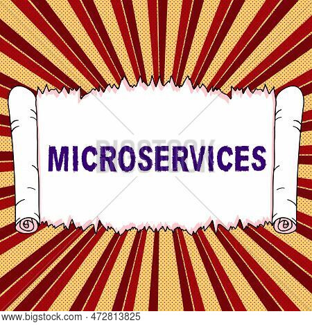 Conceptual Display Microservices. Conceptual Photo Software Development Technique Building Single Fu
