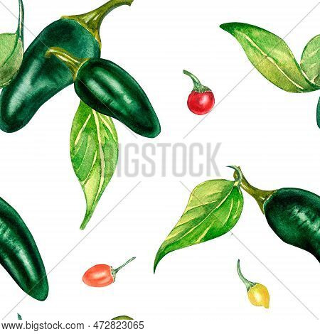 Jalapeno And Little Peppers. Watercolor Seamless Pattern Isolated On White.