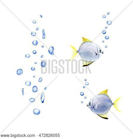 Water Bubbles And Exotic Silver Moony Fishes Composition. Watercolor Illustration Isolated On White 