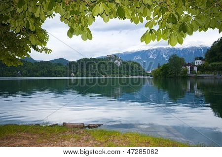 Bledské jezero