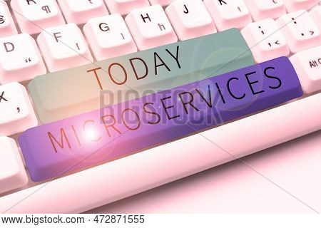 Text Sign Showing Microservices. Business Overview Software Development Technique Building Single Fu
