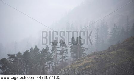 Beautiful Calm Peaceful Winter Landscape Over Thirlmere In Lake District With Fog And Layers Of Tree