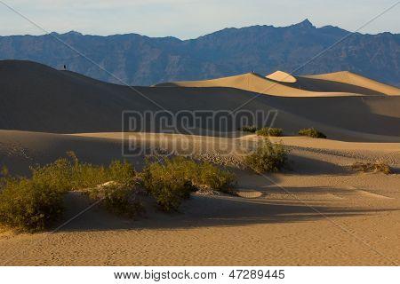 Mesquite dune nella Death Valley