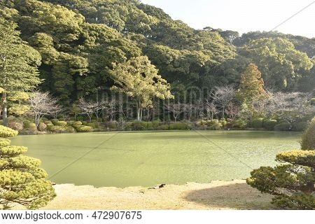 Beppu Jigoku Meguri Or Hell Tour Hot Spring Water Blowing From Land Travel Location In Japan