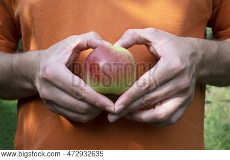 Mans Hands With Apple, Making Heart Shape On Apple. Healthy Lifestyle Concept
