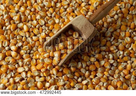 Handful Of Corn Kernels With Wooden Spoon - Corn Kernels