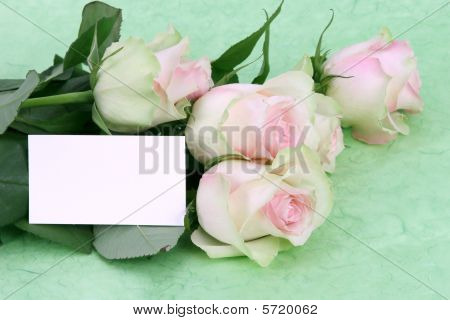 Rose rosa con nota di amore vuoto