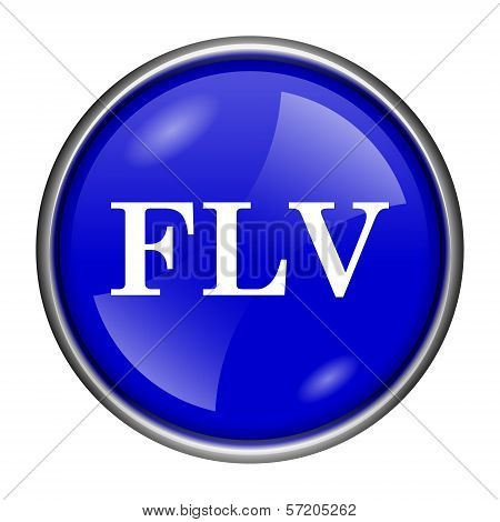 Flv Icon