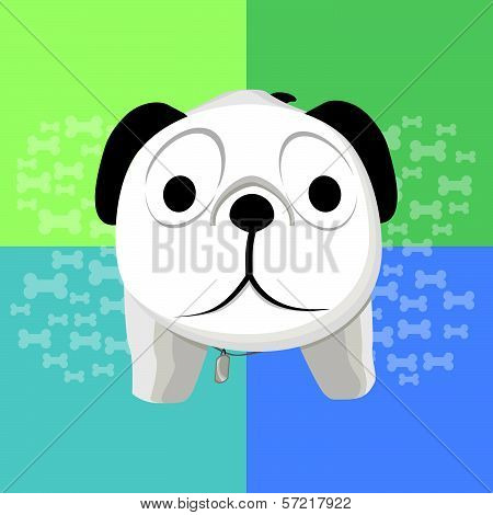 Surprised Dog