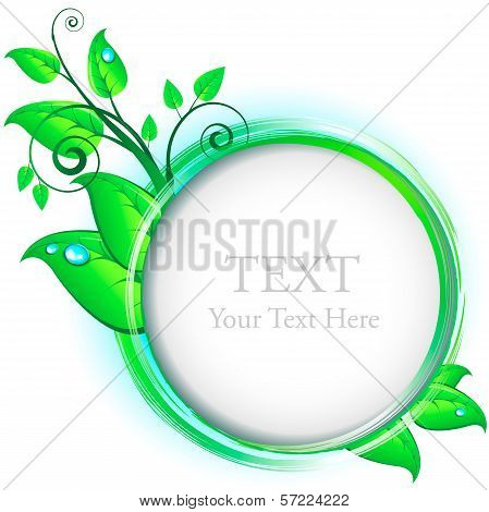 Concept Of Natural Design. Vector Frame With Brushstrokes, Leafs And Drops.