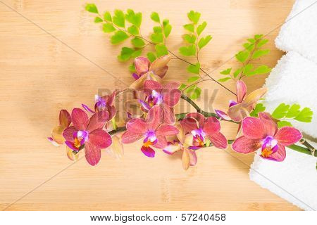 Red  Orchid, Towels And   Branch Of Fern On Bamboo Wooden  Background