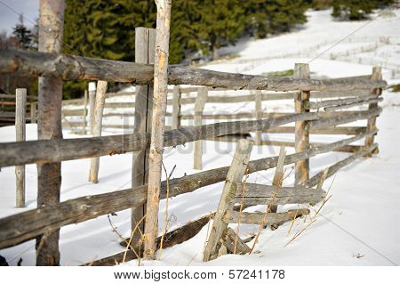 Sheepfold In Winter