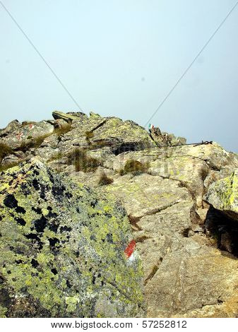 Cima Zeledria Characteristic Peak In The Brenta Dolomites, Which Is Flaf Italian Made ??of Sheet
