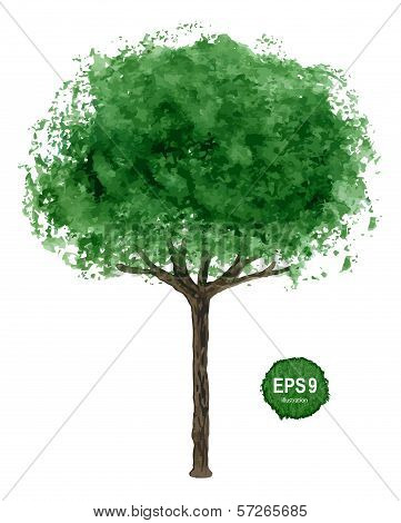 Single tree