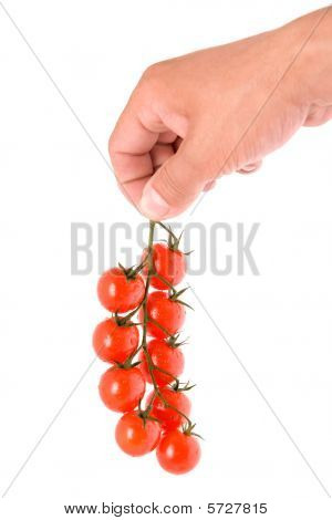Ramo de tomate