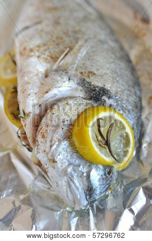 Gilthead seabream
