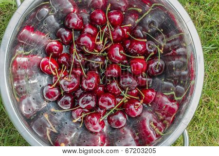 Cherries