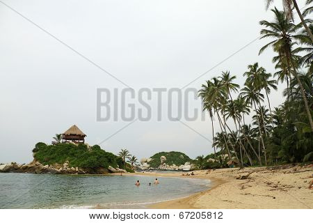 Beauriful beach near a tropical forest (shot in Tayrona park in Columbia)
