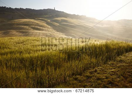 Tuscany hills