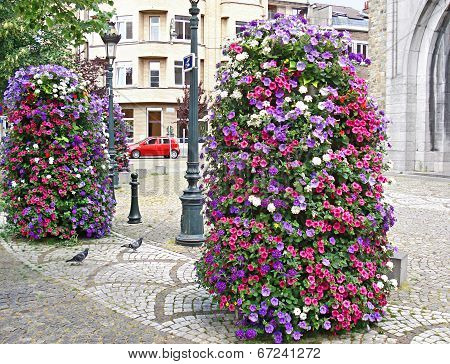 The Bright Flowers