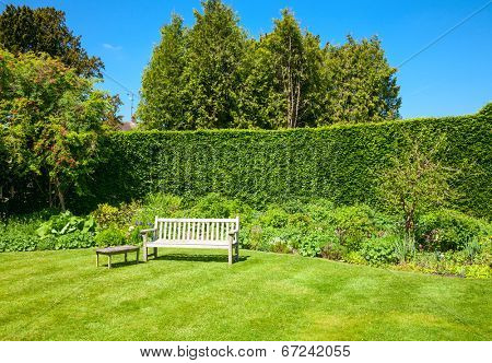Wooden bench in a summer garden
