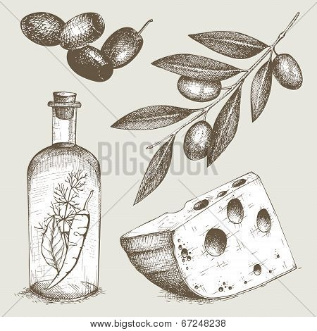 Vintage Healthy Food Illustration.