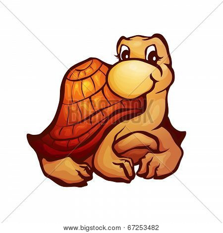 Vector illustration of turtle in cartoon style