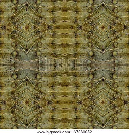 Beautifu Of Seamless Brownl Background Pattern Made Of Great Marquis Butterfly Wing Skin Texture