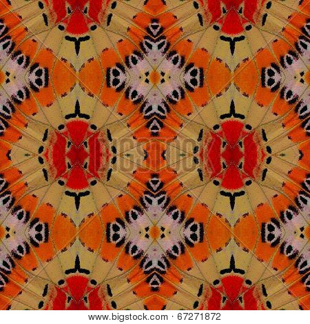 Great Background Patterns Made Of Beautiful Leopard Lacewing Butterfly's Wing