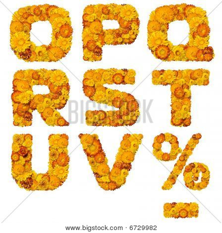 อักษรจากดอกไม้สีเหลือง และสีส้ม