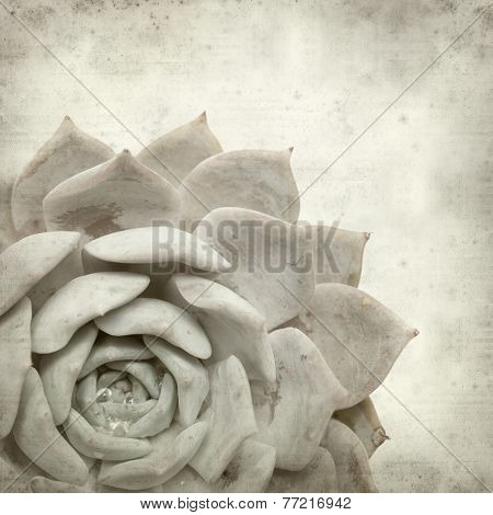 Textured Old Paper Background