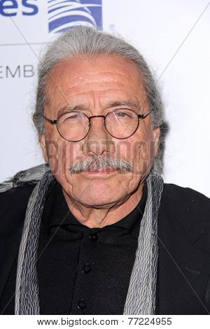 LOS ANGELES - NOV 21:  Edward James Olmos at the 6th Annual Hollywood Brazilian Film Festival Opening Night at the Montalban Theater on November 21, 2014 in Los Angeles, CA