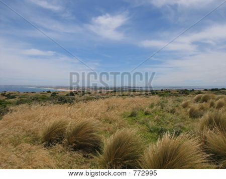 Philip Island