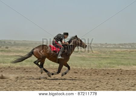 Horse races