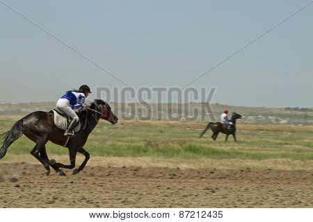 Horse races
