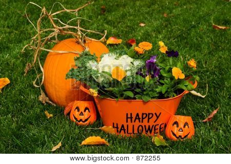 Veselý halloween