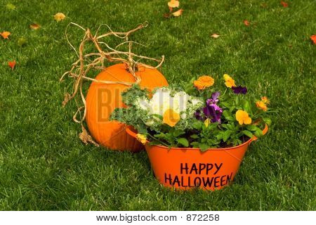 Veselý halloween