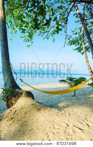 Hammock On The Beach