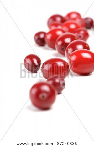 Cranberries on white background - studio shot