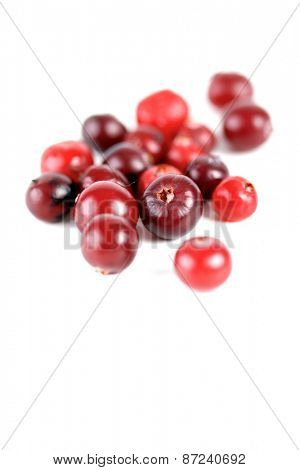 Cranberries on white background - studio shot