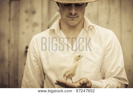 Farmer Holding A Baby Turkey