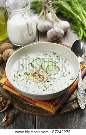 Tarator, Bulgarian Sour Milk Soup