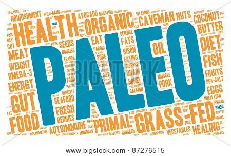 Paleo Word Cloud