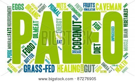 Paleo Word Cloud